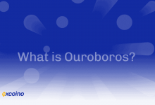 Ouroboros چیست؟
