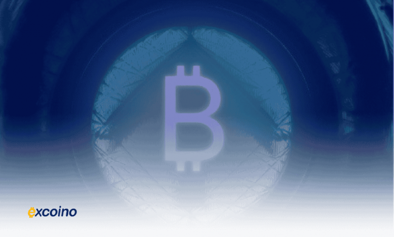 سقوط بیت‌کوین به زیر ۱۱۳ هزار دلار؛ نهنگ‌ها در حال خرید در کف قیمت!