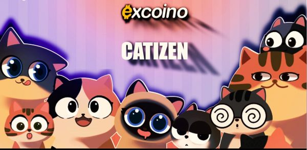 برداشت توکن کتیزن