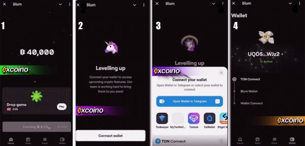 اتصال کیف پول به بلوم