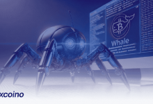 نهنگ مرموز بیتکوین، ظهور مجدد ۷,۷۸۷ بیتکوین به ارزش ۶۶۳ میلیون دلار