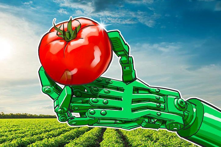 استفاده از بلاک چین در تولیدات کشاورزی