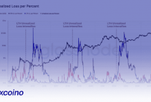 سود همچنان در جیب هولدرهای بلندمدت؛ آیا زمستان بیت‌کوین نزدیک است؟